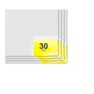 18''X36&quot; Antibacterial Clean Room Sticky Mats 25-50um